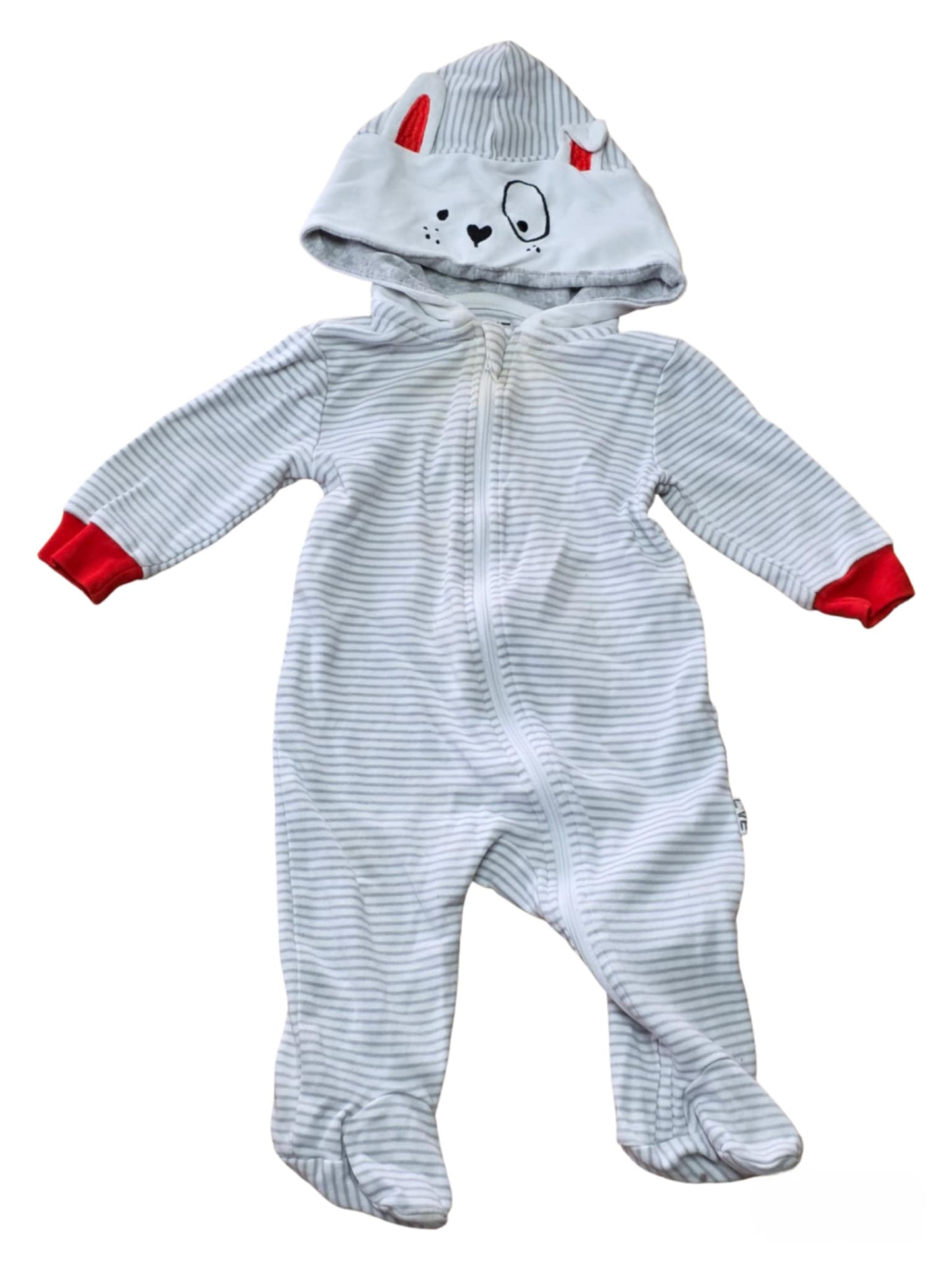 Love Ellen Degeneres | 3-6 mois